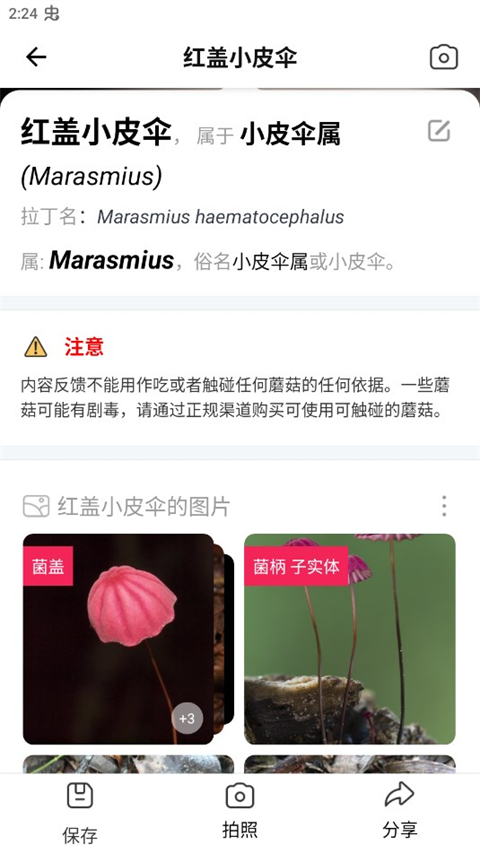 蘑菇识别扫一扫APP