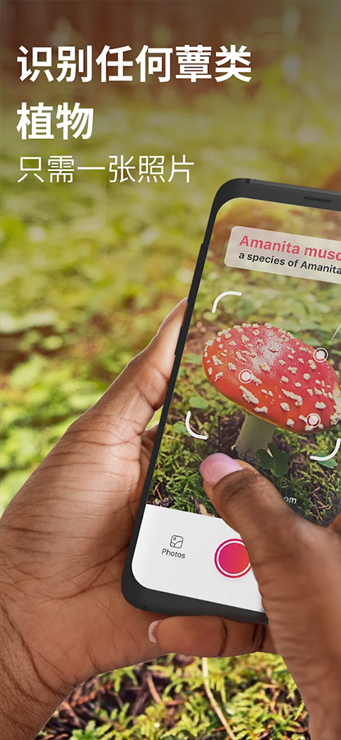 蘑菇识别扫一扫APP最新版截图1