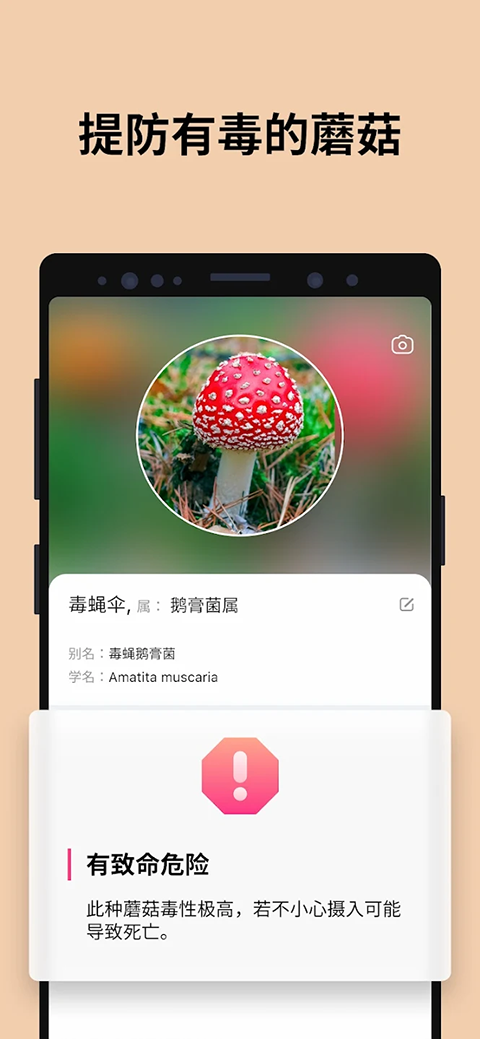 蘑菇识别扫一扫APP最新版截图3