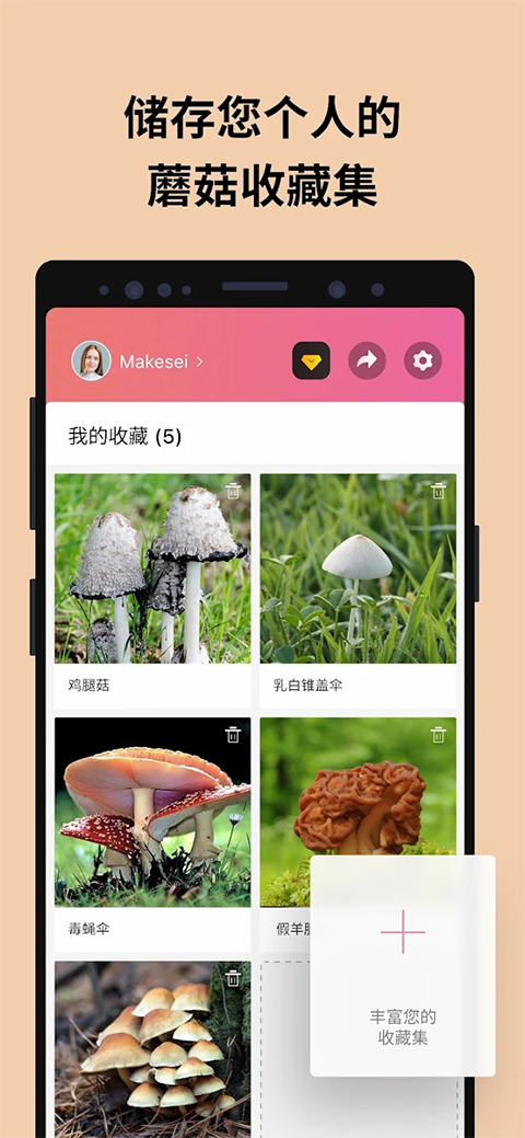 蘑菇识别扫一扫APP最新版截图4