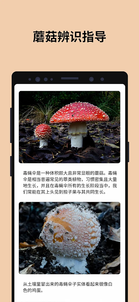蘑菇识别扫一扫APP最新版截图5