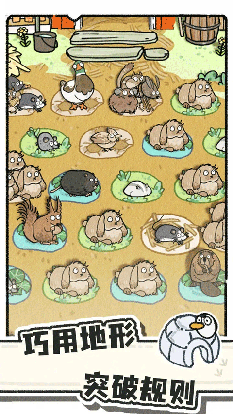 猫神牧场官方正版最新版截图4