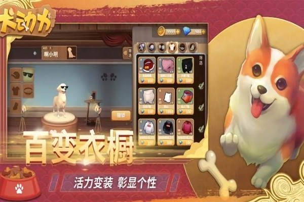 犬动力最新版最新版截图4