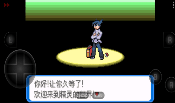 口袋妖怪决心手机中文版最新版截图1