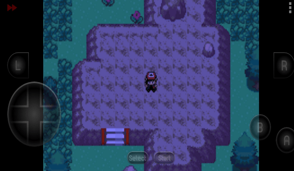 口袋妖怪决心手机中文版最新版截图2