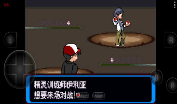 口袋妖怪决心手机中文版最新版截图4