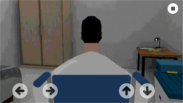 皮卡布宁静的夜晚截图