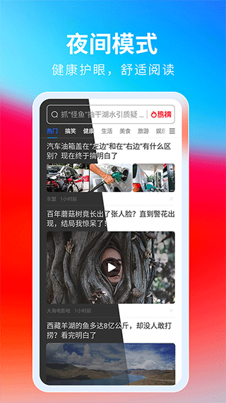 飞觅浏览器app截图