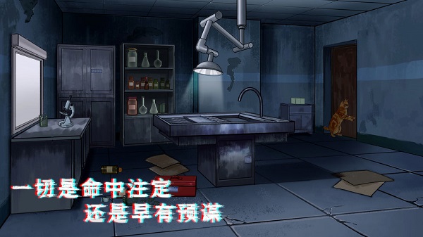 密室与猫最新版截图4