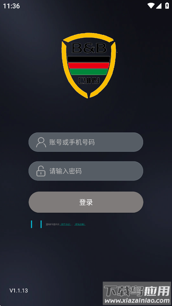 亮波红月app截图