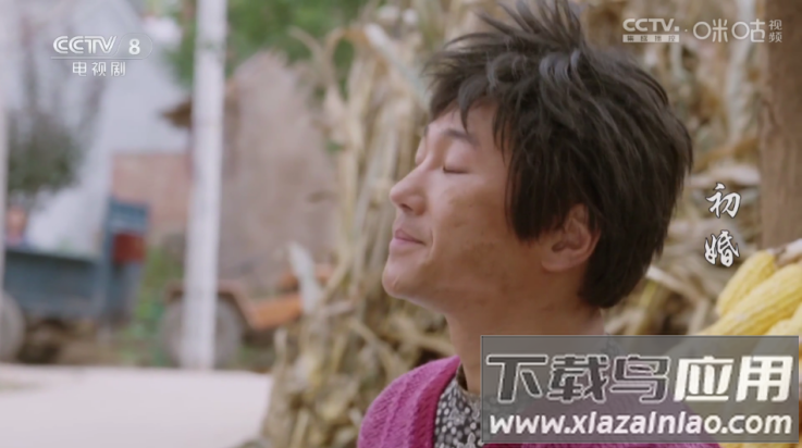 星光影视TV版截图2