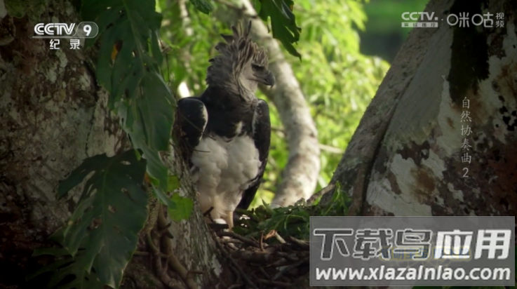 星光影视TV版截图4