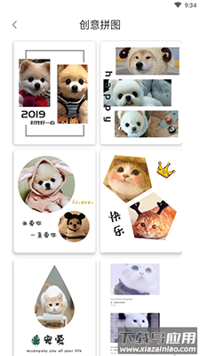 宠物Cam app最新版截图4