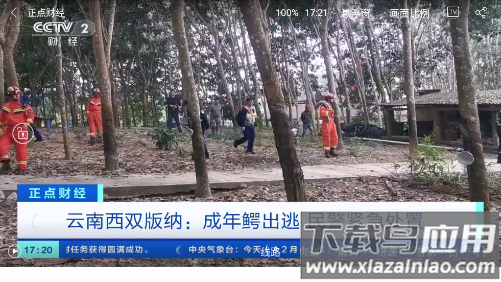 悠兔电视tv官方版最新版截图3