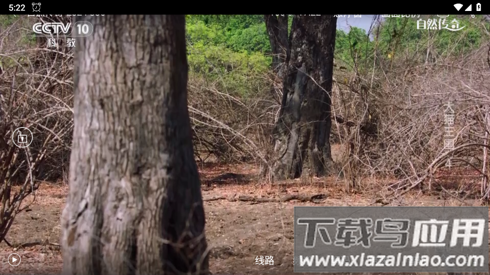 悠兔电视tv官方版最新版截图4