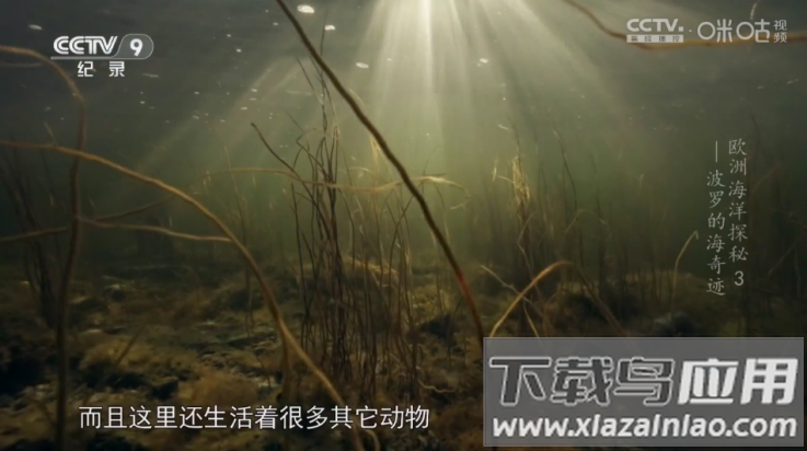 OK芸影视tv版截图