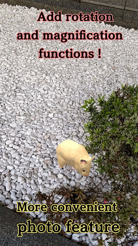 我的仓鼠游戏官方正版最新版截图1