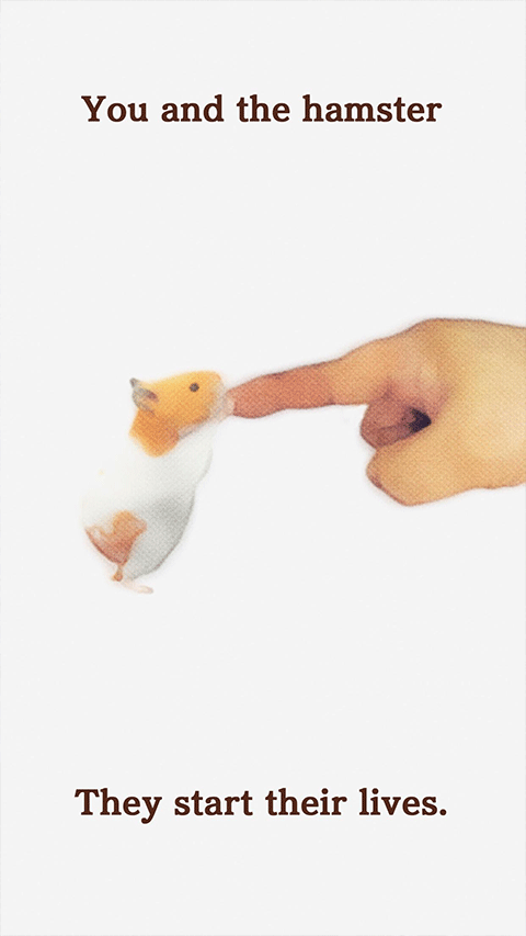 我的仓鼠游戏官方正版最新版截图2