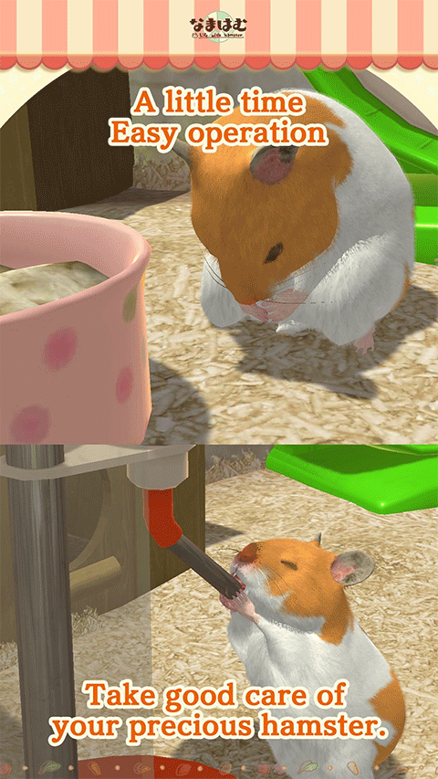 我的仓鼠游戏官方正版最新版截图3