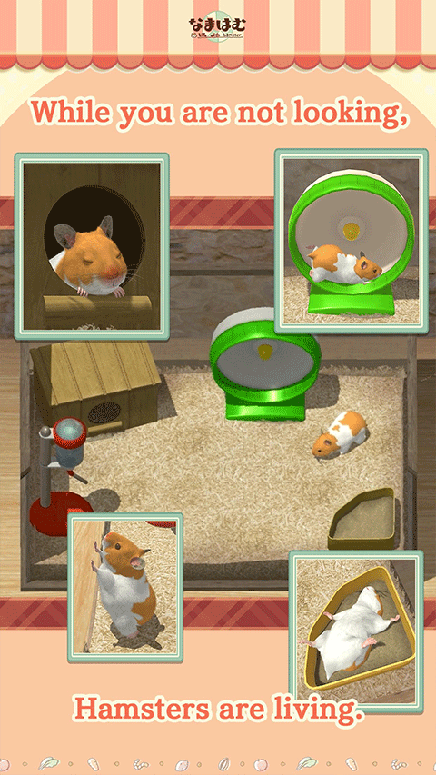 我的仓鼠游戏官方正版最新版截图4