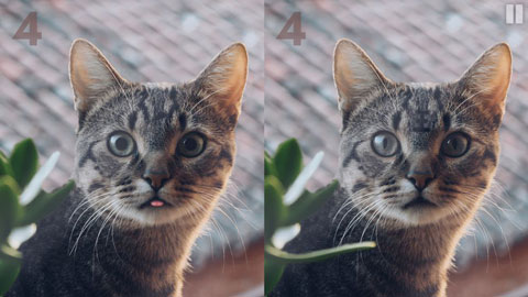 慧眼寻异游戏最新版截图4