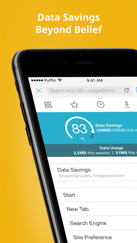 puffin浏览器官方最新版最新版截图5