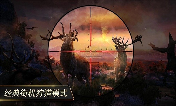 狙击小动物游戏最新版截图3