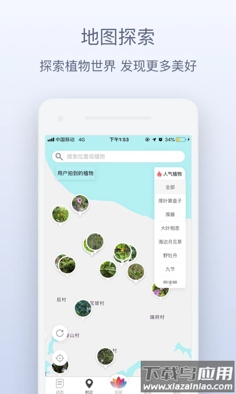 花伴侣识花最新版截图3