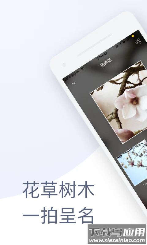 花伴侣识花最新版截图5