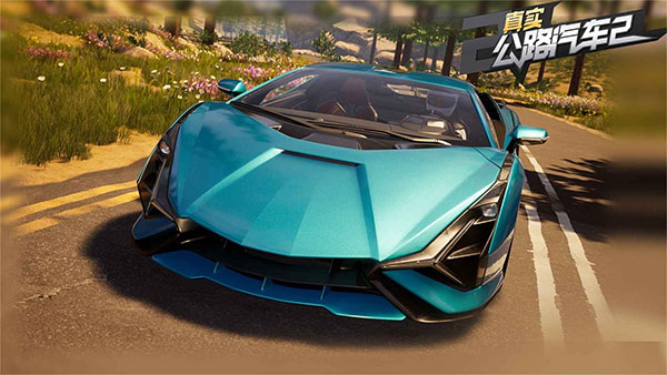 真实公路汽车2无广告版截图1