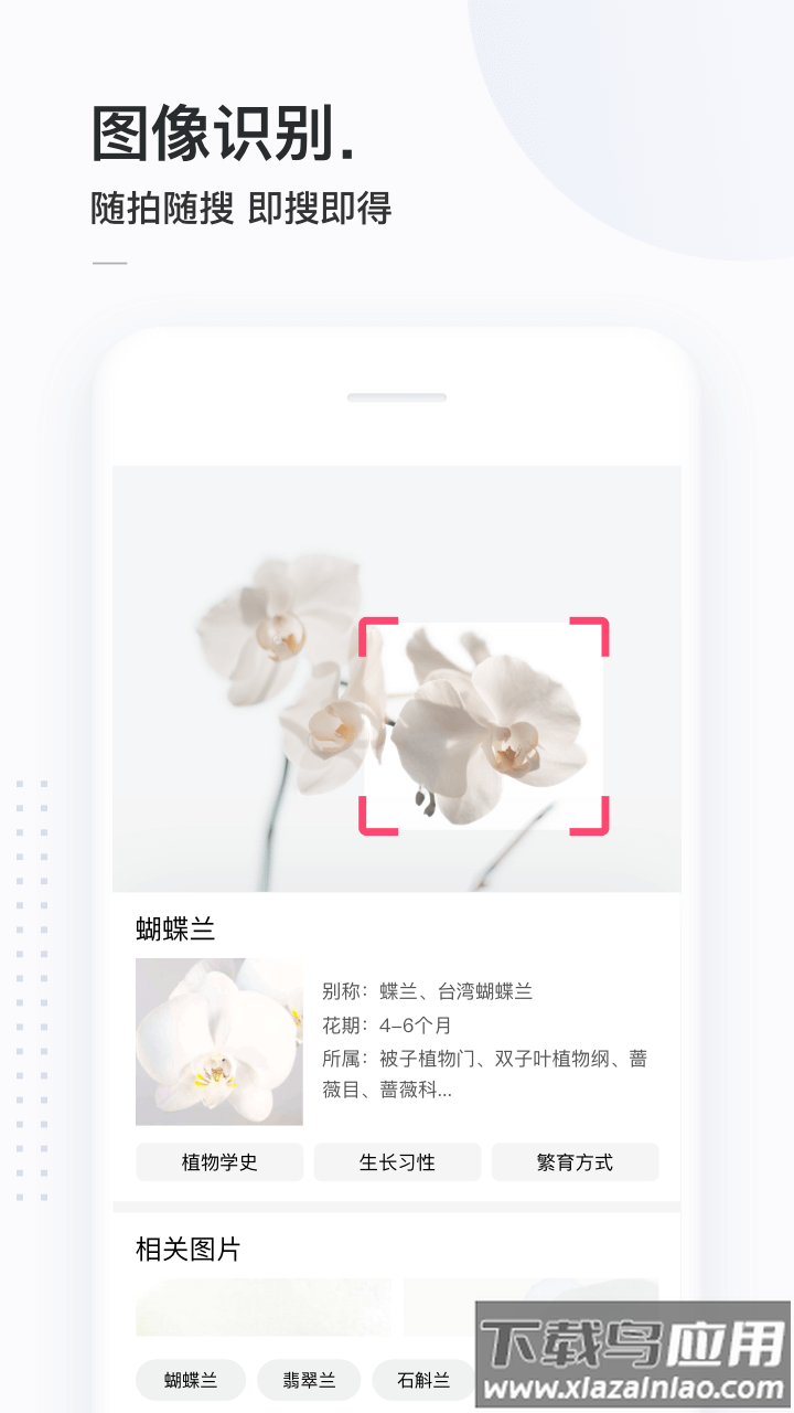 简单搜索旧版本下载截图3