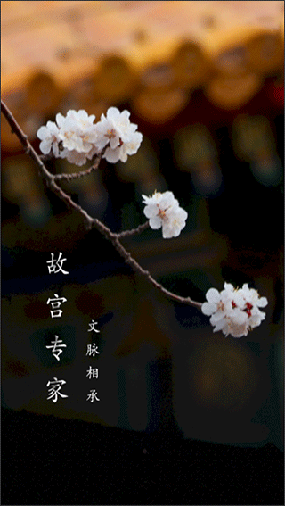 故宫云课app最新版截图4