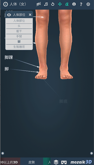 Humanbody软件最新版截图3