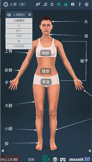 Humanbody软件最新版截图4
