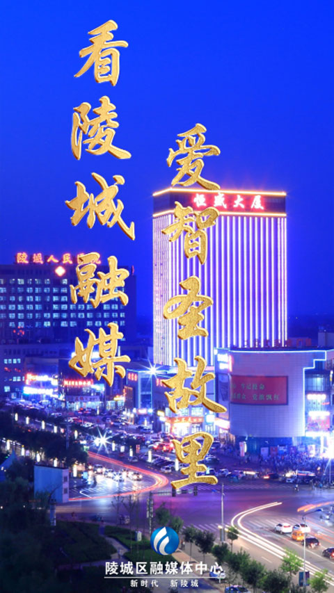 陵城融媒最新版app截图1