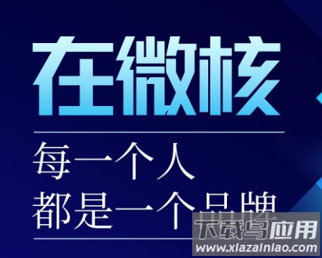 微核app