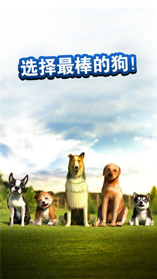 狗狗模拟器游戏(DogSimulator)最新版截图4