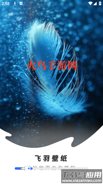 飞羽壁纸高清app