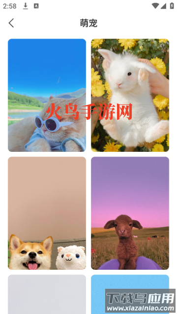 飞羽壁纸高清app