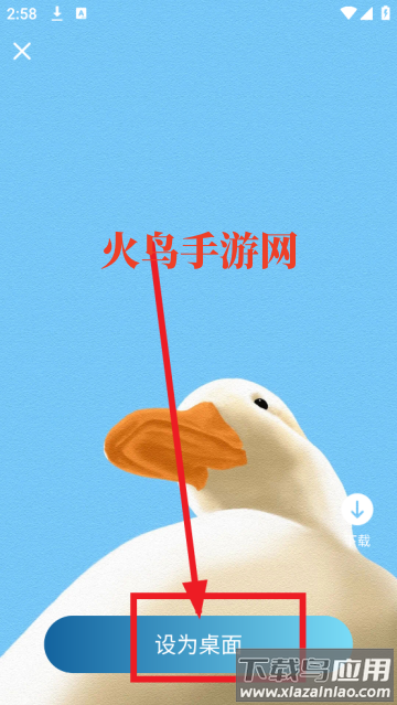 飞羽壁纸高清app