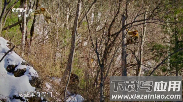 家视TV盒子最新版截图4