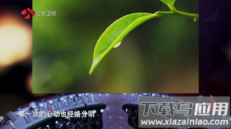 波哥影视TV盒子最新版截图3