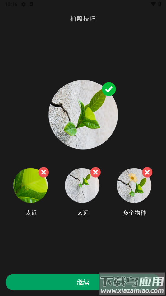 picturethis解锁高级版截图