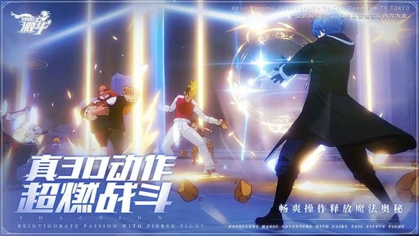 妖精的尾巴激斗游戏手机截图3