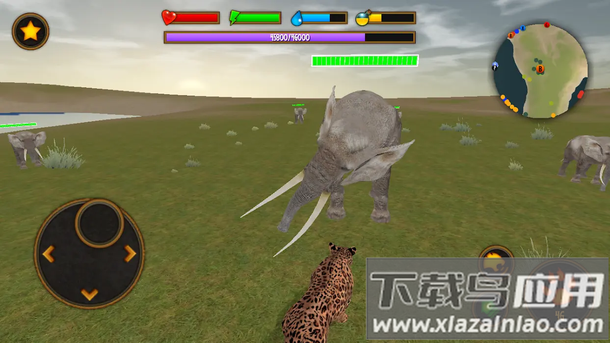 猎豹模拟器下载正版(Clan of Leopards)最新版截图2
