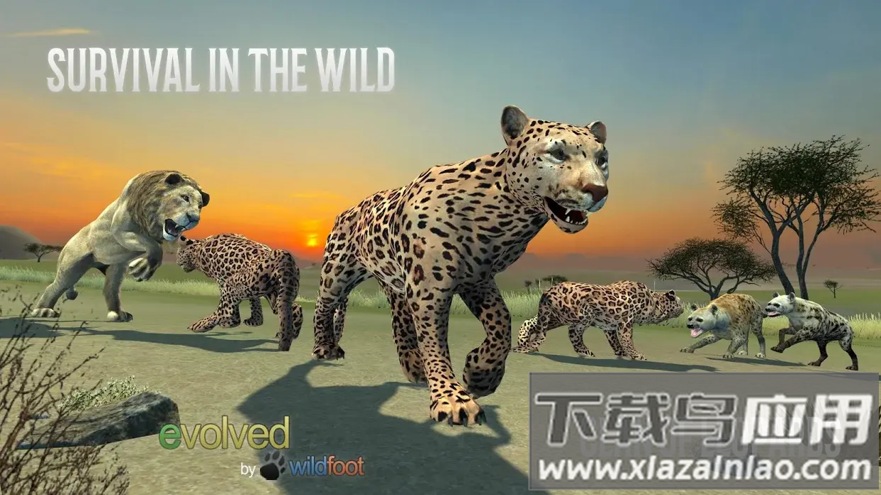 猎豹模拟器下载正版(Clan of Leopards)最新版截图4