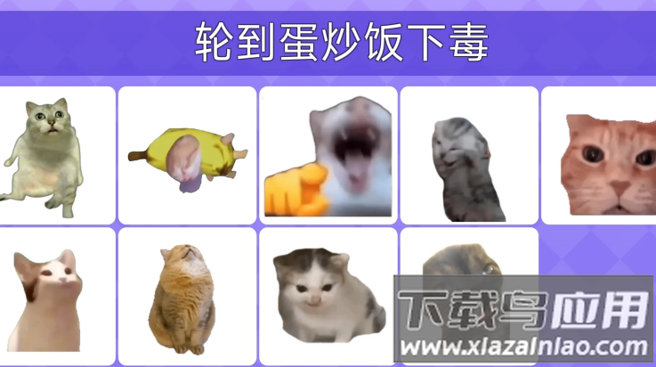 Meme的毒药游戏最新版截图2