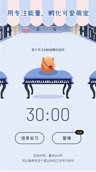 专注崽崽app最新版截图3
