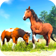 养马模拟器游戏(养马模拟器安装器)