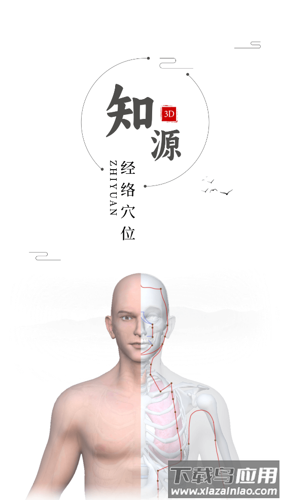 知源经络穴位app最新版截图1